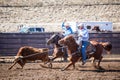 Team Roping Competition Royalty Free Stock Photo