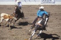 Team roping event, Old Spanish Days, Fiesta Rodeo and Stock Horse Show, Earl Warren Showgrounds, Santa Barbara, CA Royalty Free Stock Photo