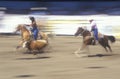 Team roping event, Old Spanish Days, Fiesta Rodeo and Stock Horse Show, Earl Warren Showgrounds, Santa Barbara, CA Royalty Free Stock Photo