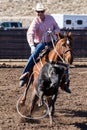 Team Roping in Wickenburg Royalty Free Stock Photo