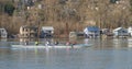 Team rowing a canoe down the Willamette River Royalty Free Stock Photo