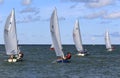Team sailing on the open water Royalty Free Stock Photo