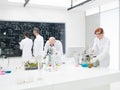 Team of scientists in a laboratory Royalty Free Stock Photo