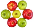 Team of seven ripe apples on white background