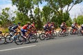 Team Sky In The Peleton La Vuelta EspaÃÂ±a Royalty Free Stock Photo