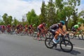 Cycling Peleton La Vuelta EspaÃÂ±a