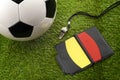 Team sports, rules official gear and athletics competition conceptual idea with soccer ball, yellow and red referee cards and