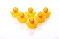 Team strength. six Plastic yellow duck toy in formation isolated on white Royalty Free Stock Photo