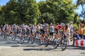 Team Sunweb in the Peloton _ Le Tour de France 2020