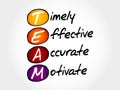 TEAM - Timely, Effective, Accurate, Motivate Royalty Free Stock Photo