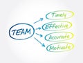 TEAM - Timely, Effective, Accurate, Motivate acronym, business concept background