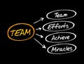 TEAM - Timely, Effective, Accurate, Motivate acronym