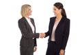 Team: Two isolated businesswoman shaking hands wearing business