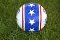 Team USA official soccer ball on grass