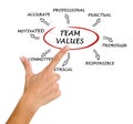 Team values and norms