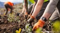 A team of volunteers working together to plant trees and shrubs in a previously barren area. These plants will