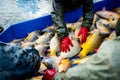 Fishermen in waterproof overalls sorting crap fish from fishpond, harvest at fish farm Royalty Free Stock Photo
