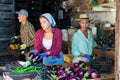 Team of workers sorting harvested eggplants at farm warehouse Royalty Free Stock Photo