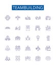 Teambuilding line icons signs set. Design collection of Teamwork, Cooperative, Collaboration, Networking, Unite, Bonding