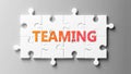 Teaming complex like a puzzle - pictured as word Teaming on a puzzle pieces to show that Teaming can be difficult and needs Royalty Free Stock Photo