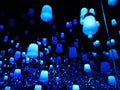 Teamlab borderless odaiba art museum