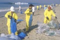 Teams of environmental workers organizing cleanup efforts of the oils spill in Huntington Beach, California