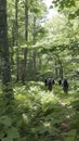 Teams navigate through forest trails as part of an outdoor team building program at a scenic wilderness retreat
