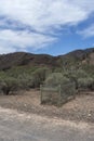 Teamsters Grave, Ikara-Flinders Ranges, South Australia