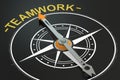 Teamwork compass concept