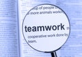 Teamwork Royalty Free Stock Photo