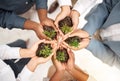 Teamwork, environment and plant with hands of business people from top view for sustainability, earth day or growth