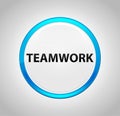 Teamwork Round Blue Push Button Royalty Free Stock Photo