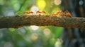 teamwork, team of ants constructing bridge. AI Generative Royalty Free Stock Photo