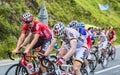 Teamwork - Tour de France 2014