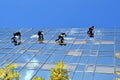 Teamwork - window cleaners at work