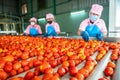 Teamwork of workers sorting tomatoes on a conveyor belt in a tomato factory. food industry. Selective focus on tomatoes