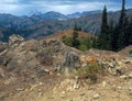 The Teanaway Ridge Trail, Alpine Lakes region, Cascade Range, Washington