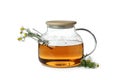 Teapot of chamomile tea isolated on white background Royalty Free Stock Photo