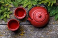 Teapot, cup, and fir tree branches create a cozy scene