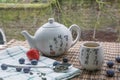 Teapot with cup of tea on the woven mat with some blueberries, strawberry and teaspoon on towel