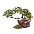 Teapot, heap dray tea and bonsai tree isolated on white background. Watercolor hand drawn illustration. Art for design