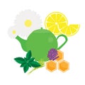 Teapot with herbals and fruits. Green Tea kettle vector illustration