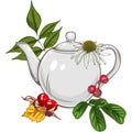 Teapot with herbs and berries