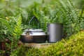 Teapot and mug on a book in the forest. Moss and fern. The background is blurred