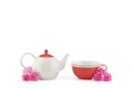 Teapot and red tea cup Royalty Free Stock Photo