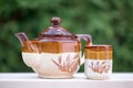 Teapot with tea-cup exteriorly Royalty Free Stock Photo
