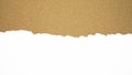 Tear of brown recycled paper texture. Royalty Free Stock Photo