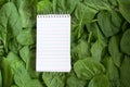 Tear-off notepad for recipe or shopping list on a full frame background from fresh organic spinach leaves, copy space, high angle Royalty Free Stock Photo