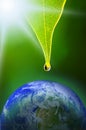 Tear for our earth (the wellspring) Royalty Free Stock Photo