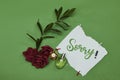 tear paper with sorry concept and roses flowers, bottle perfume on green background Royalty Free Stock Photo